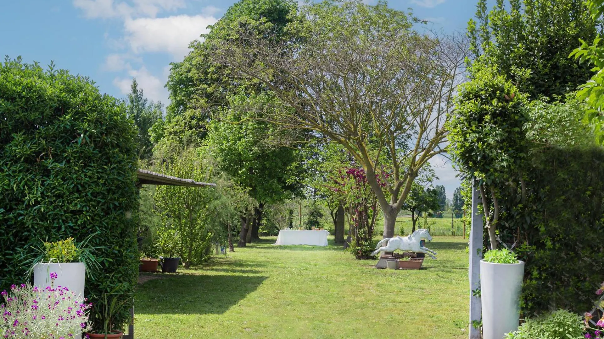 Balabuska Rooms & Garden Codevigo